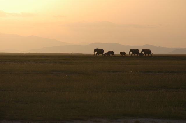 Amboseli National Park